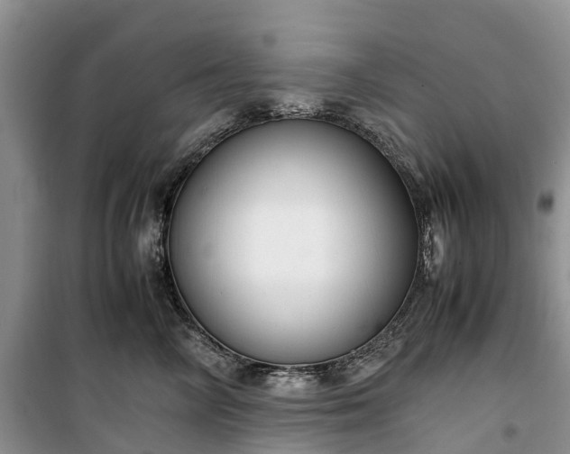 X0000100380714200806131059