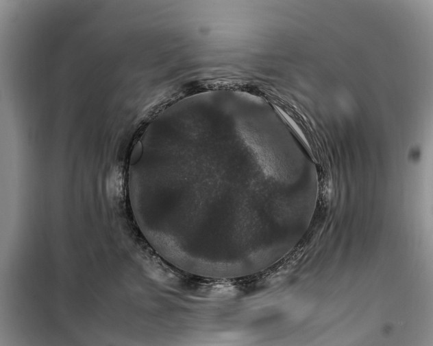 X0000100380715200806131059