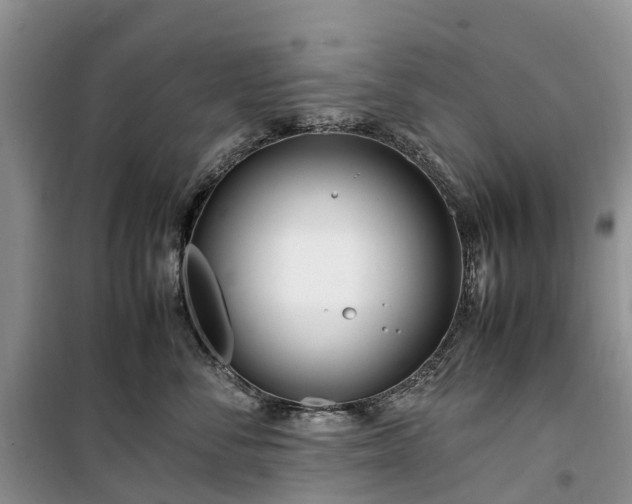 X0000100380716200806131059