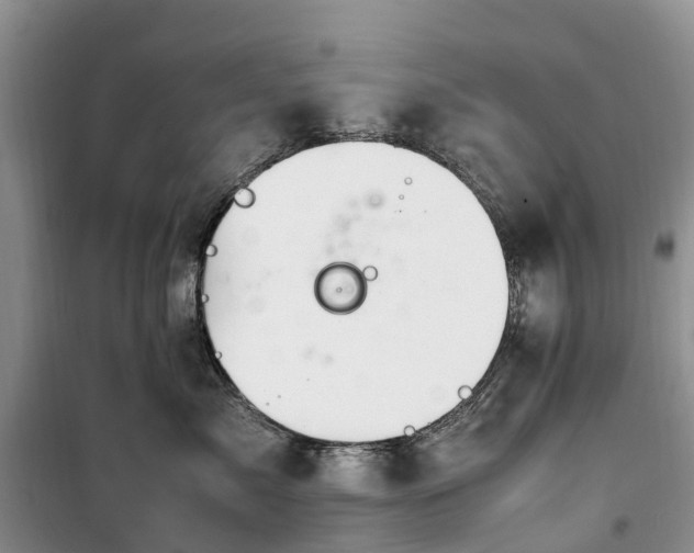 X0000100380717200806131059