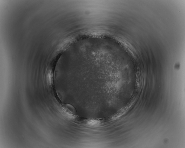 X0000100380718200806131059