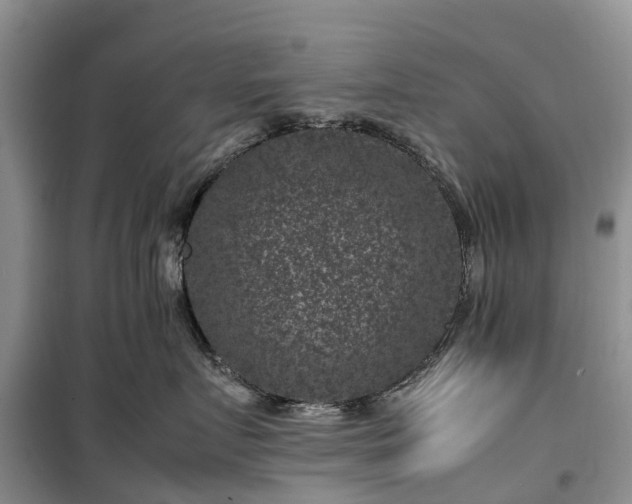 X0000100380719200806131059