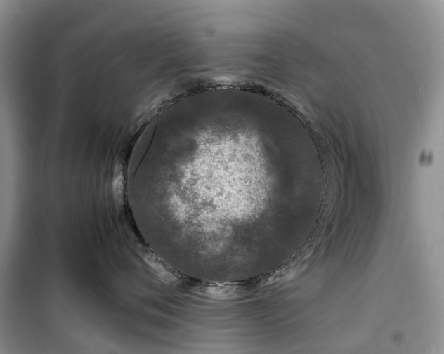 X0000100380720200806131059