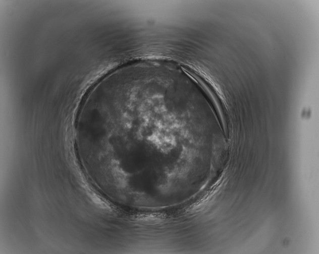 X0000100380721200806131059