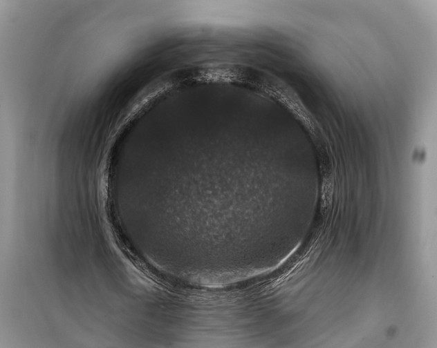 X0000100380722200806131059