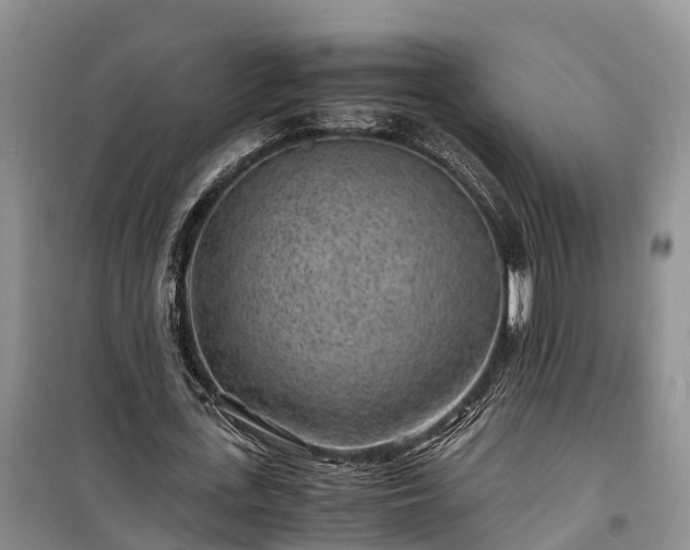 X0000100380723200806131059