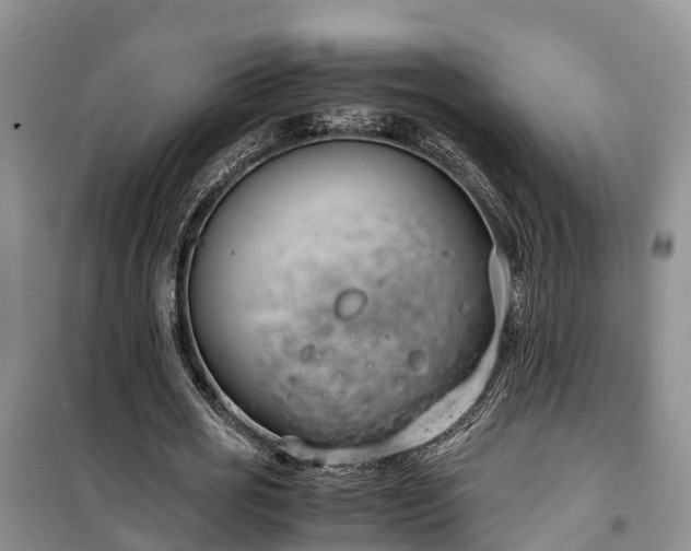 X0000100380725200806131059