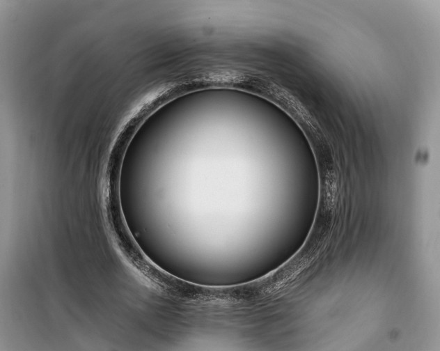 X0000100380726200806131059