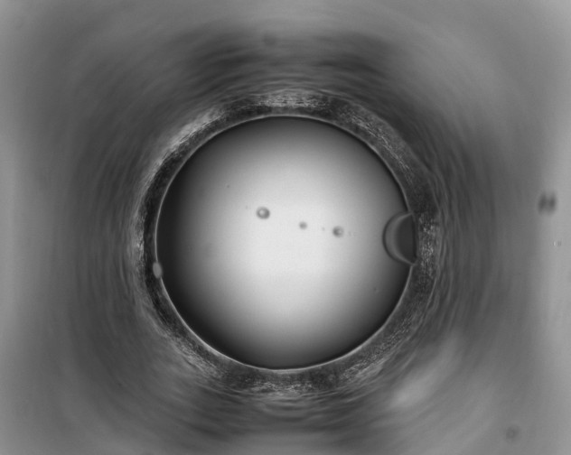 X0000100380727200806131059