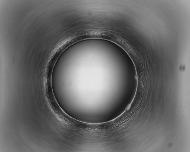 X0000100380728200806131059