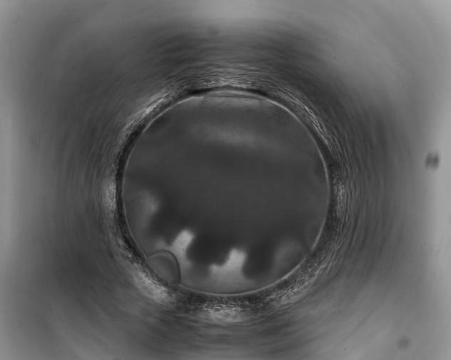 X0000100380729200806131059