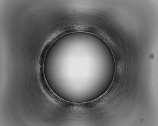 X0000100380730200806131059