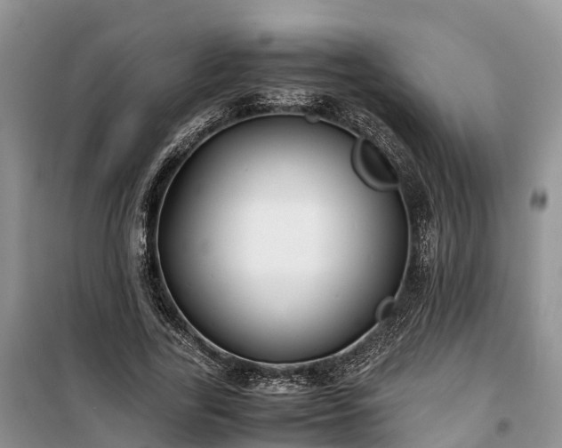 X0000100380731200806131059