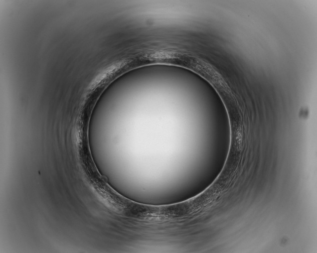 X0000100380732200806131059