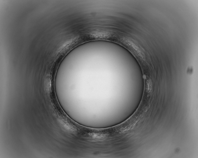 X0000100380733200806131059