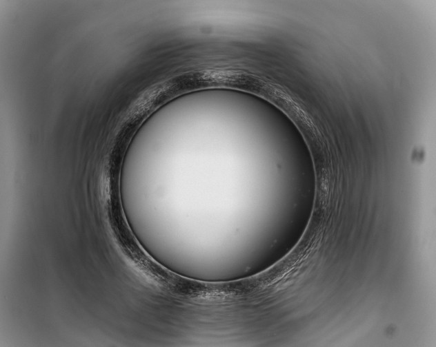 X0000100380734200806131059