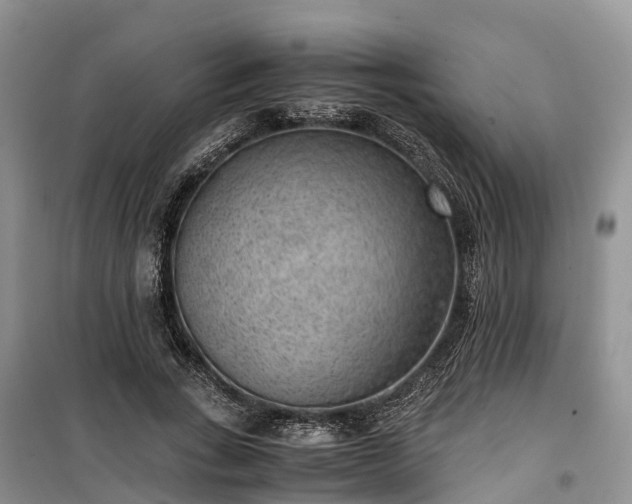 X0000100380735200806131059