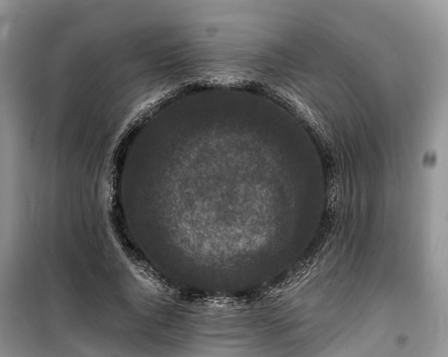 X0000100380736200806131059