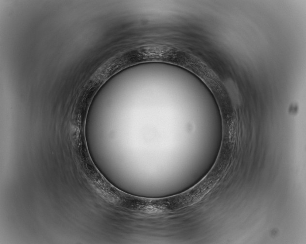 X0000100380737200806131059
