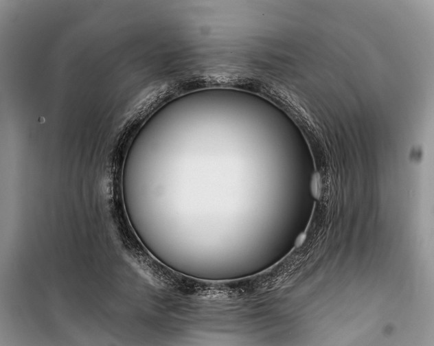 X0000100380738200806131059