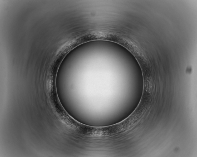 X0000100380740200806131059