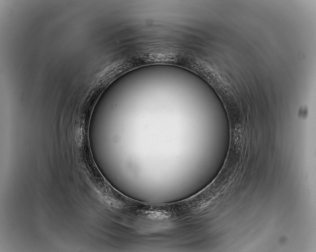 X0000100380741200806131059