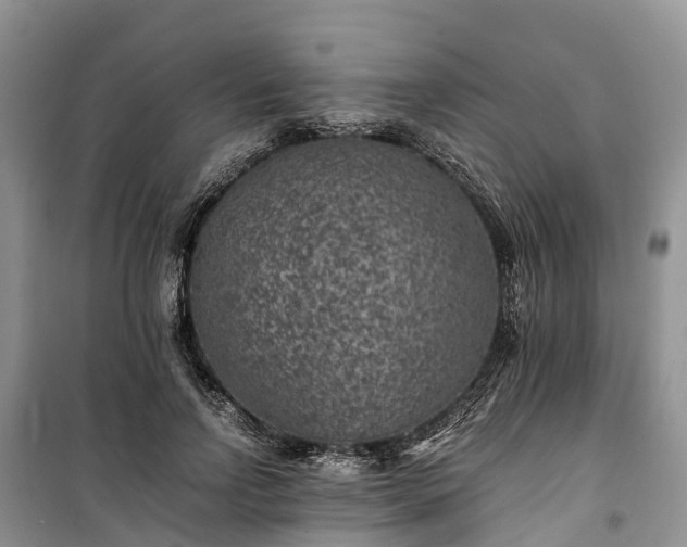 X0000100380742200806131059