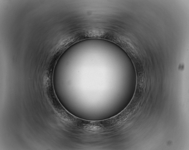 X0000100380743200806131059