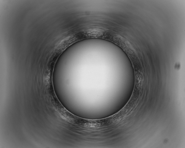 X0000100380745200806131059