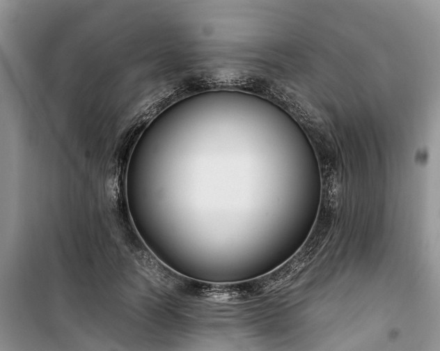 X0000100380746200806131059