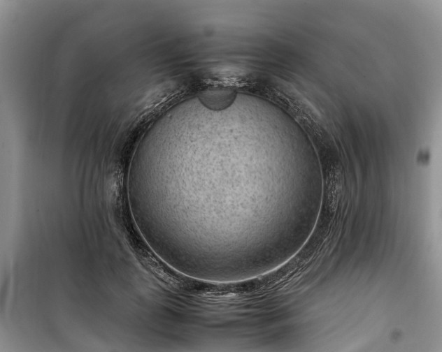 X0000100380747200806131059