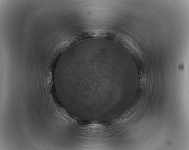 X0000100380748200806131059