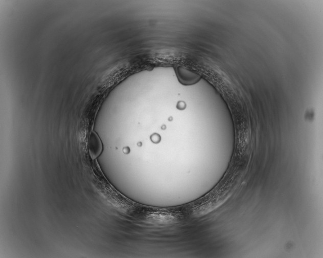 X0000100380749200806131059