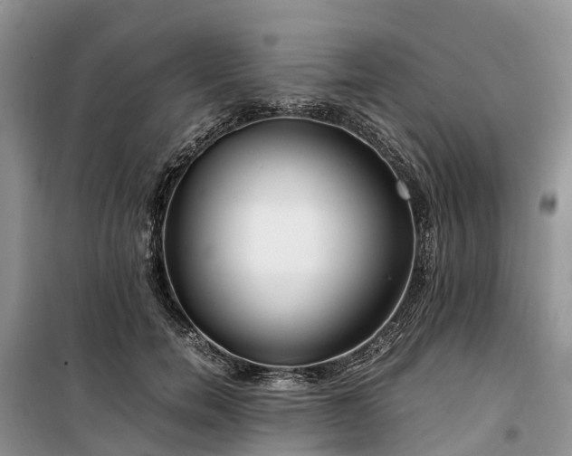 X0000100380750200806131059