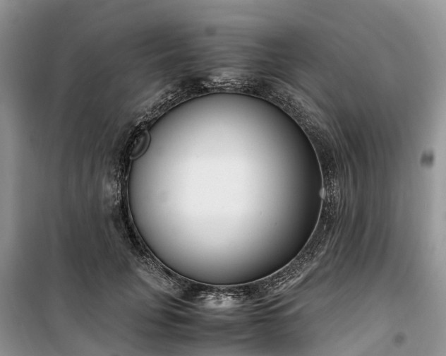 X0000100380751200806131059