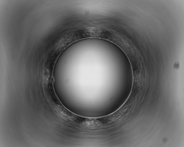 X0000100380752200806131059