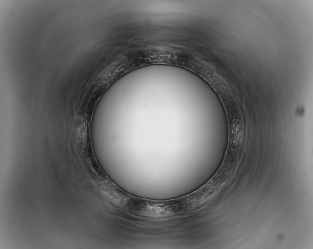 X0000100380753200806131059