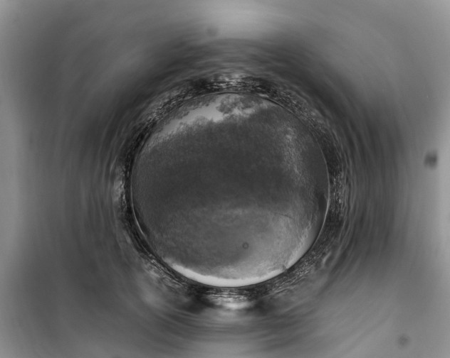 X0000100380754200806131059