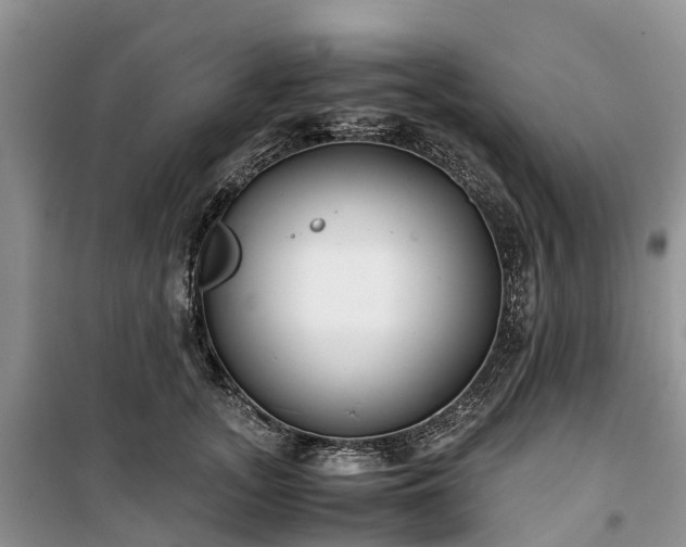 X0000100380755200806131059