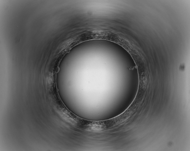 X0000100380756200806131059