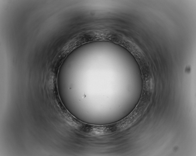 X0000100380757200806131059
