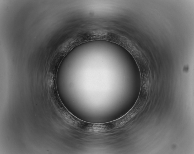 X0000100380758200806131059