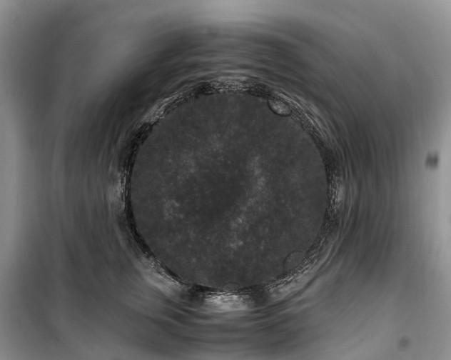 X0000100380759200806131059