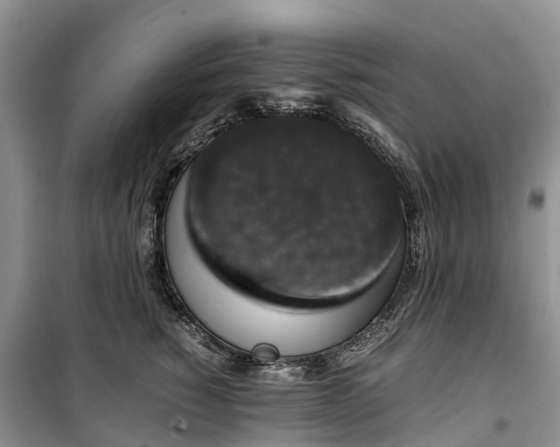 X0000100380760200806131059