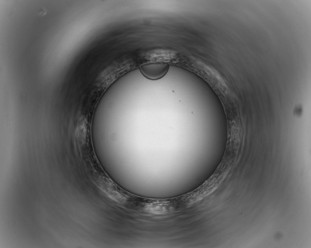 X0000100380761200806131059