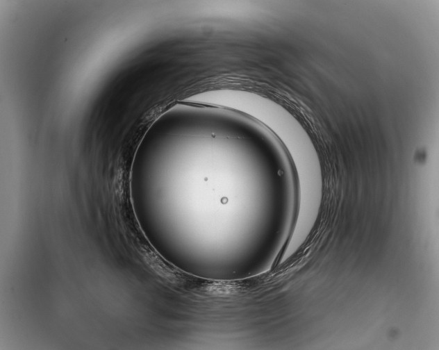 X0000100380762200806131059