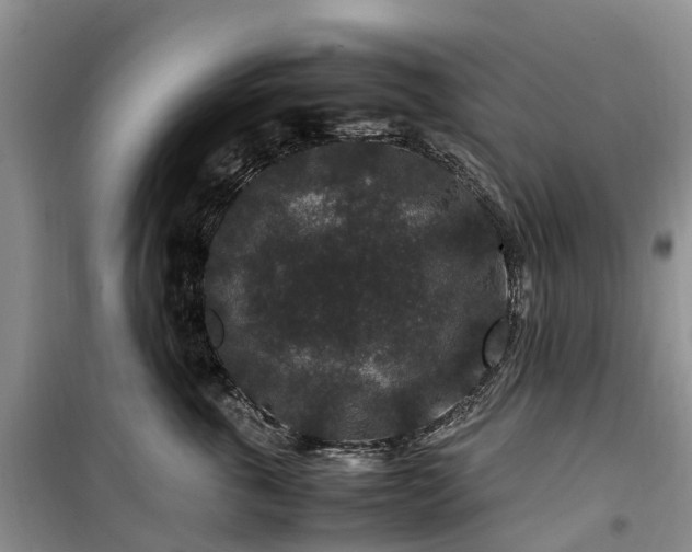 X0000100380763200806131059