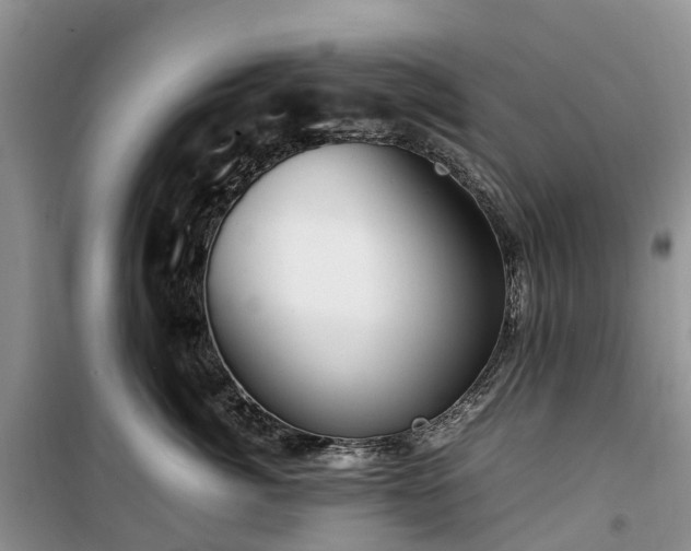 X0000100380764200806131059