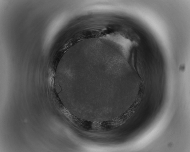 X0000100380766200806131059