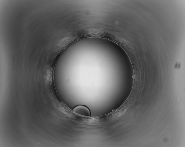 X0000100380768200806131059